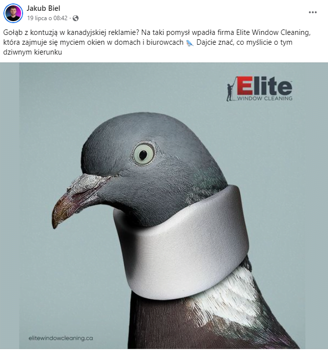 Zrzut ekranu 2023-07-28 130933