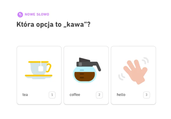 grywalizacja - aplikacja duolingo
