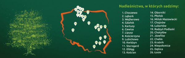 grywalizacja - allegro